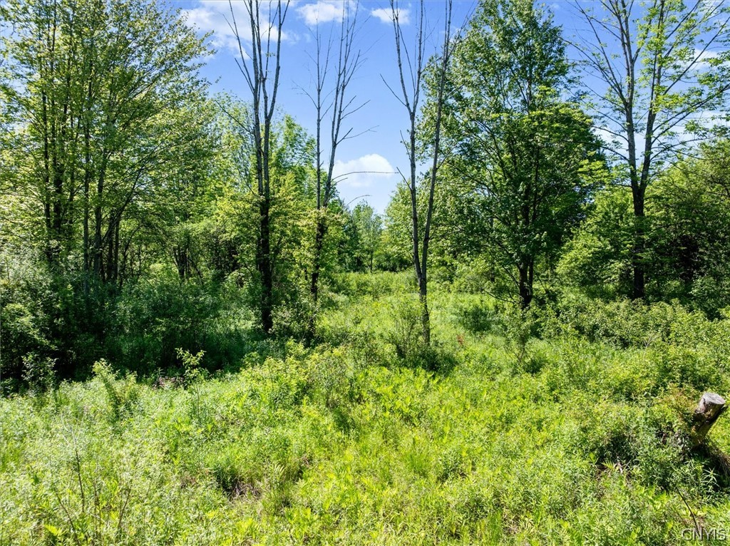 6101 Cavanaugh Road Marcy, NY 13403 - Photo 8 of 15