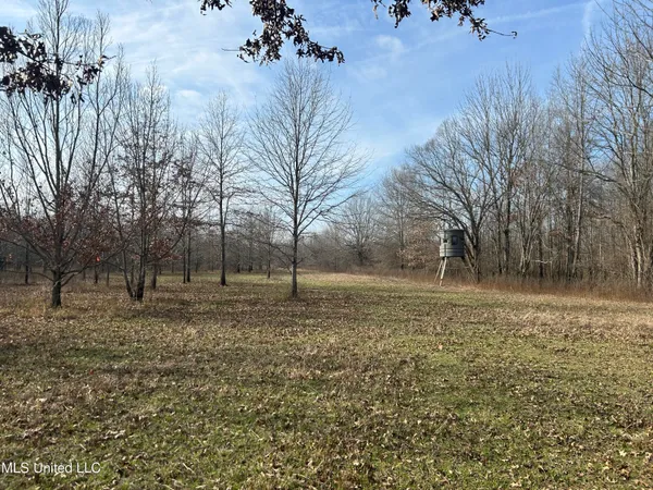 $949,900 | 278 Hwy Marks Ms 38646, Marks, MS 38646