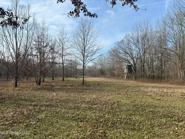 $949,900 | 278 Hwy Marks Ms 38646, Marks, MS 38646