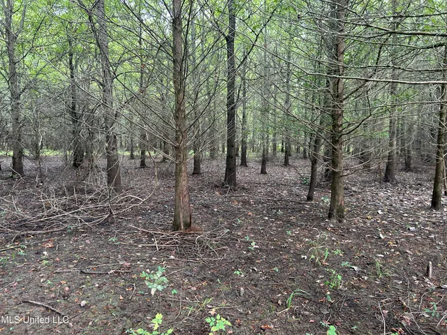 $949,900 | 278 Hwy Marks Ms 38646, Marks, MS 38646