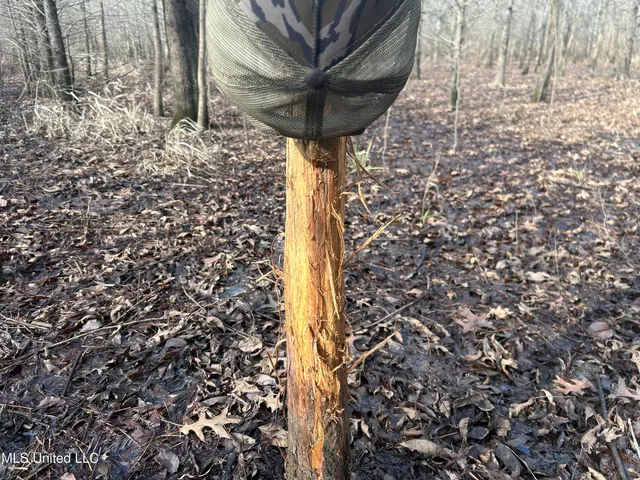 $949,900 | 278 Hwy Marks Ms 38646, Marks, MS 38646