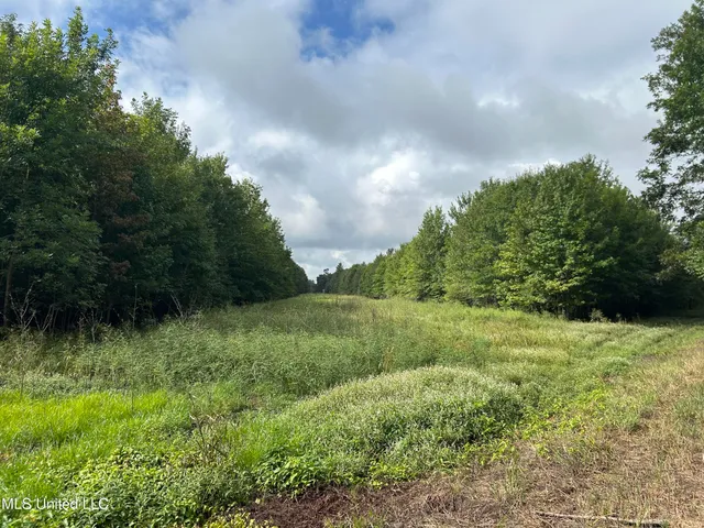 $949,900 | 278 Hwy Marks Ms 38646, Marks, MS 38646