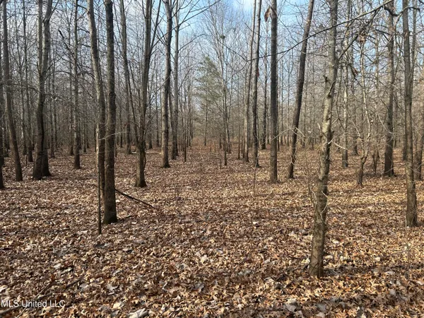 $949,900 | 278 Hwy Marks Ms 38646, Marks, MS 38646
