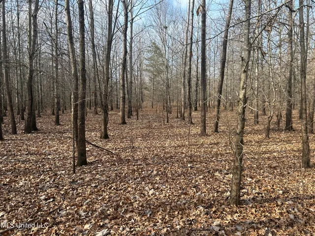 $949,900 | 278 Hwy Marks Ms 38646, Marks, MS 38646