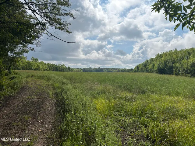 $949,900 | 278 Hwy Marks Ms 38646, Marks, MS 38646