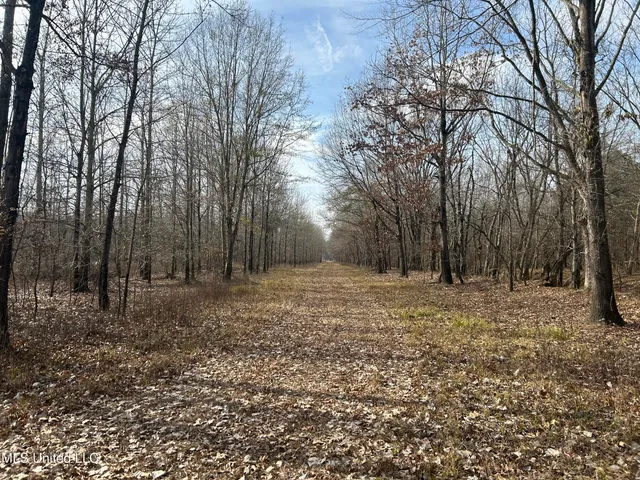 $949,900 | 278 Hwy Marks Ms 38646, Marks, MS 38646