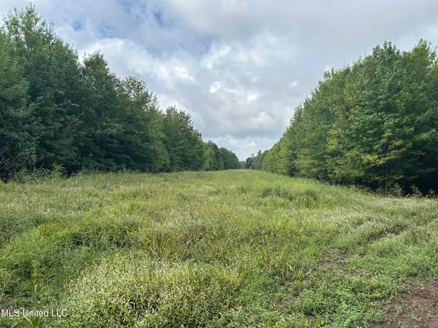 $949,900 | 278 Hwy Marks Ms 38646, Marks, MS 38646