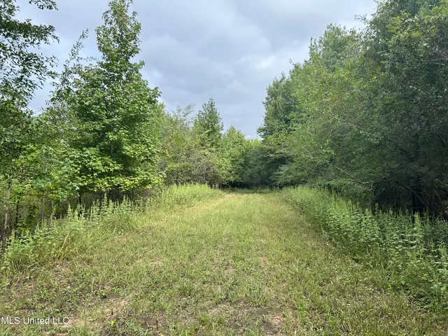 $949,900 | 278 Hwy Marks Ms 38646, Marks, MS 38646