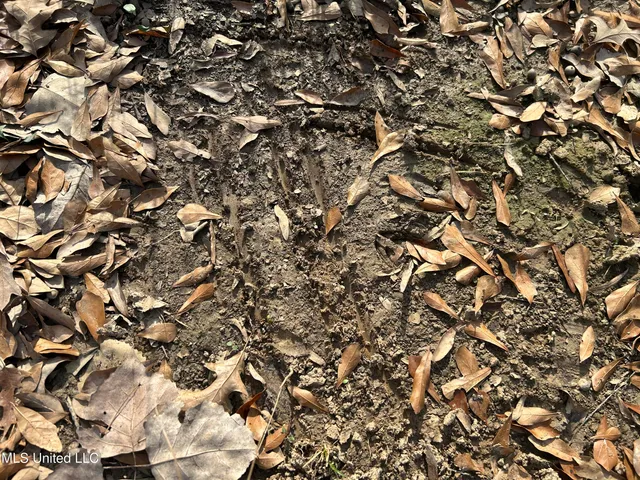 $949,900 | 278 Hwy Marks Ms 38646, Marks, MS 38646