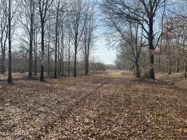 $949,900 | 278 Hwy Marks Ms 38646, Marks, MS 38646