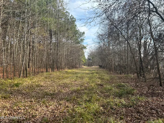 $949,900 | 278 Hwy Marks Ms 38646, Marks, MS 38646