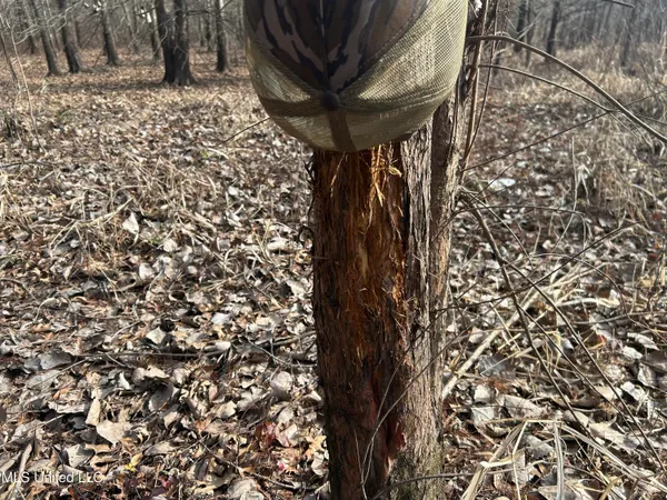 $949,900 | 278 Hwy Marks Ms 38646, Marks, MS 38646