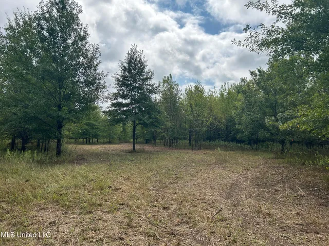 $949,900 | 278 Hwy Marks Ms 38646, Marks, MS 38646