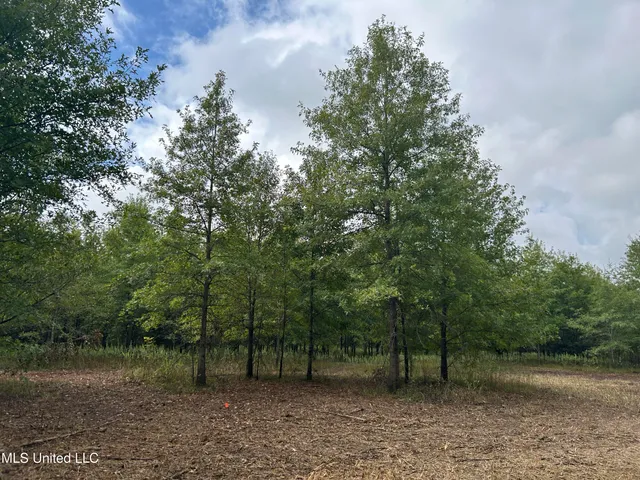 $949,900 | 278 Hwy Marks Ms 38646, Marks, MS 38646