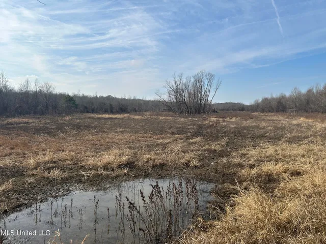 $949,900 | 278 Hwy Marks Ms 38646, Marks, MS 38646