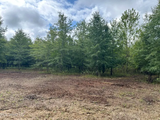 $949,900 | 278 Hwy Marks Ms 38646, Marks, MS 38646