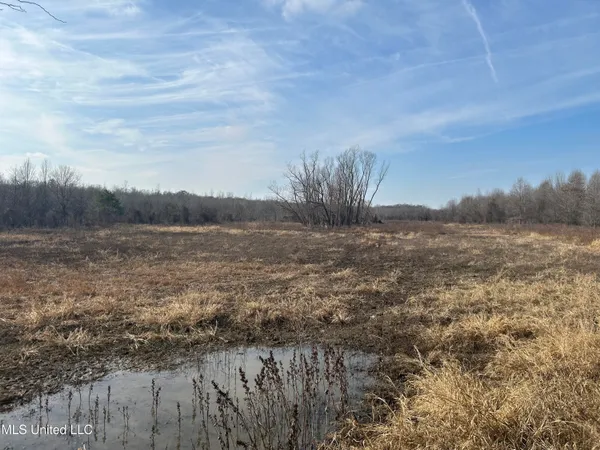 $949,900 | 278 Hwy Marks Ms 38646, Marks, MS 38646