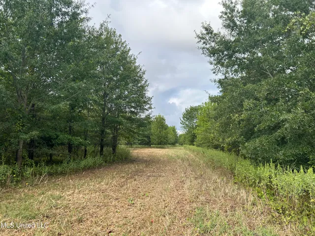 $949,900 | 278 Hwy Marks Ms 38646, Marks, MS 38646