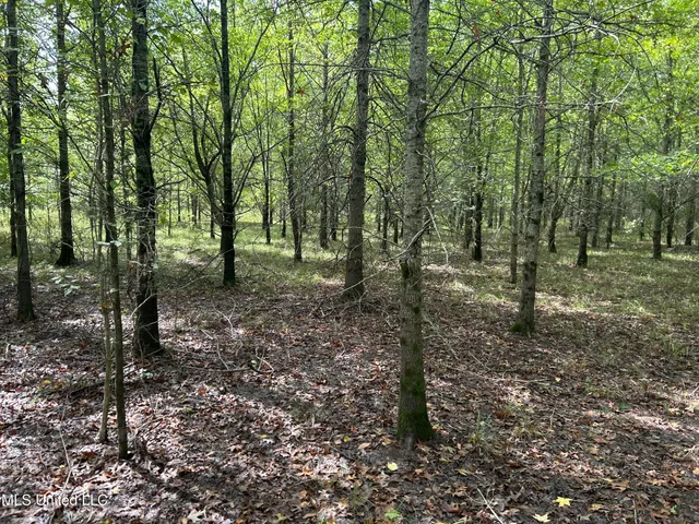 $949,900 | 278 Hwy Marks Ms 38646, Marks, MS 38646