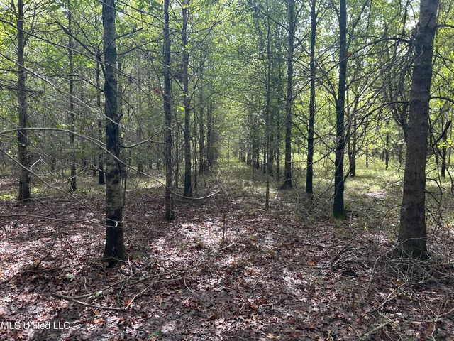 $949,900 | 278 Hwy Marks Ms 38646, Marks, MS 38646