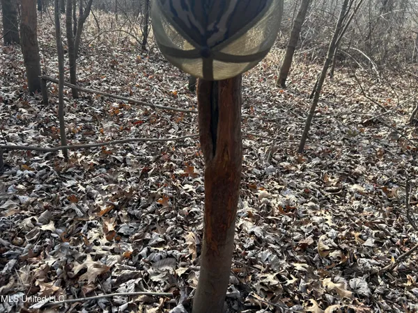 $949,900 | 278 Hwy Marks Ms 38646, Marks, MS 38646