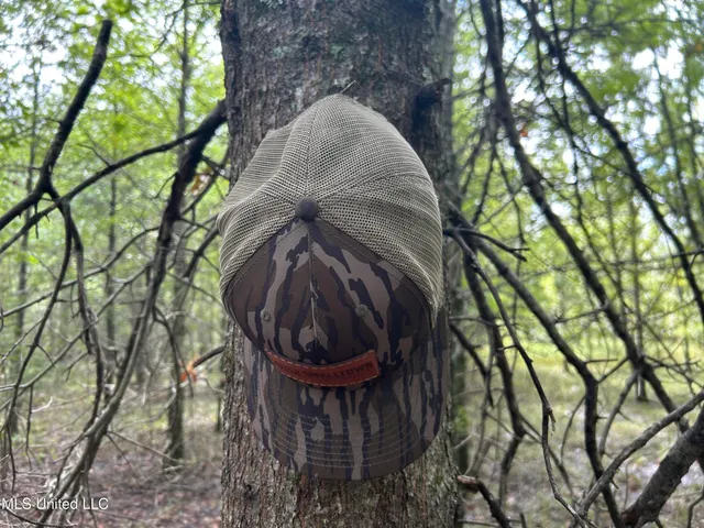 $949,900 | 278 Hwy Marks Ms 38646, Marks, MS 38646