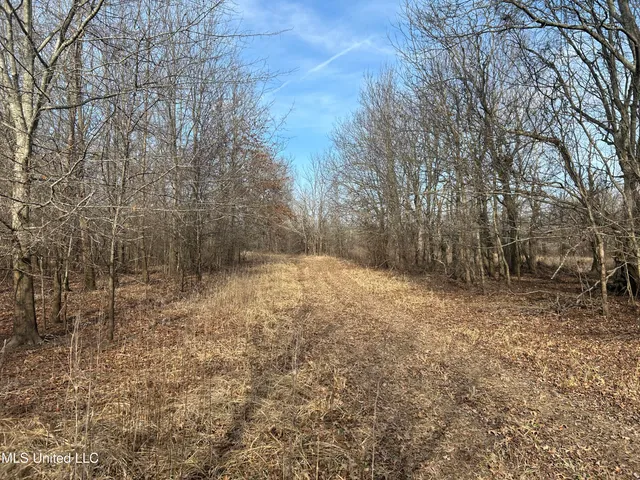 $949,900 | 278 Hwy Marks Ms 38646, Marks, MS 38646