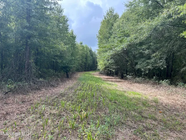 $949,900 | 278 Hwy Marks Ms 38646, Marks, MS 38646