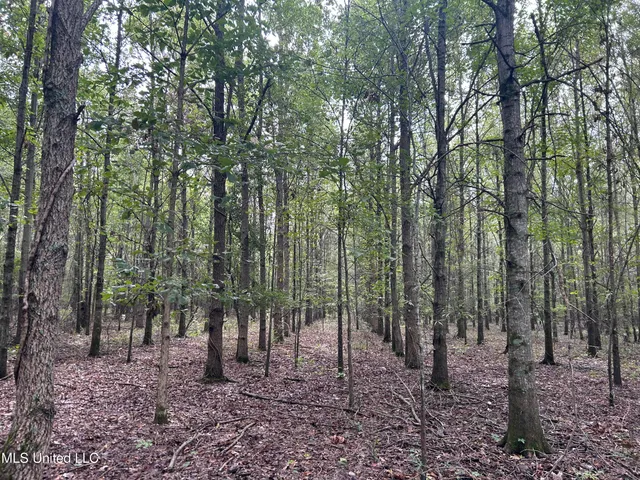 $949,900 | 278 Hwy Marks Ms 38646, Marks, MS 38646