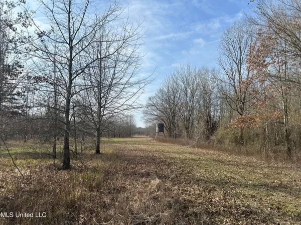 $949,900 | 278 Hwy Marks Ms 38646, Marks, MS 38646