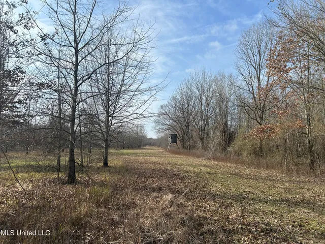 $949,900 | 278 Hwy Marks Ms 38646, Marks, MS 38646