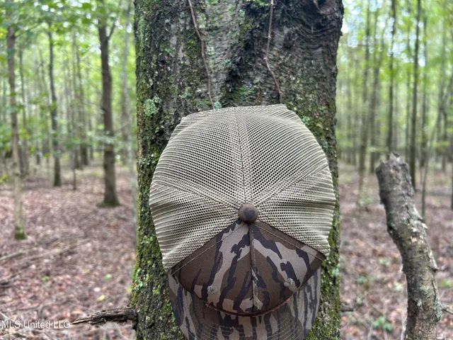 $949,900 | 278 Hwy Marks Ms 38646, Marks, MS 38646