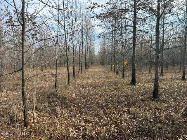 $949,900 | 278 Hwy Marks Ms 38646, Marks, MS 38646