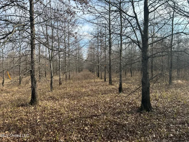 $949,900 | 278 Hwy Marks Ms 38646, Marks, MS 38646