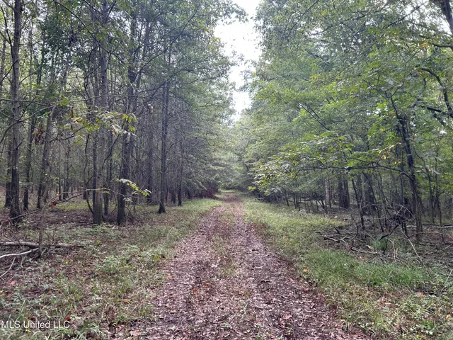 $949,900 | 278 Hwy Marks Ms 38646, Marks, MS 38646