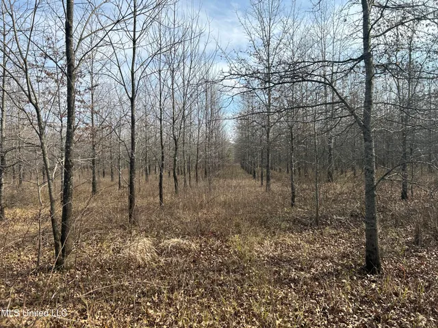 $949,900 | 278 Hwy Marks Ms 38646, Marks, MS 38646