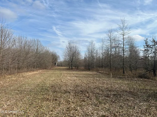 $949,900 | 278 Hwy Marks Ms 38646, Marks, MS 38646