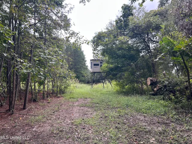 $949,900 | 278 Hwy Marks Ms 38646, Marks, MS 38646