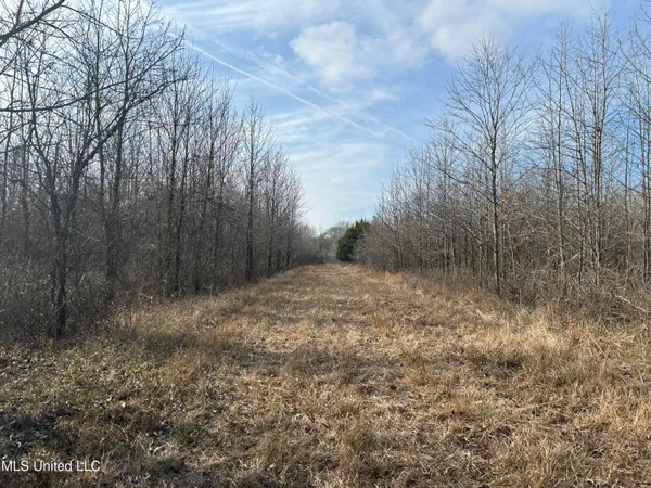 $949,900 | 278 Hwy Marks Ms 38646, Marks, MS 38646