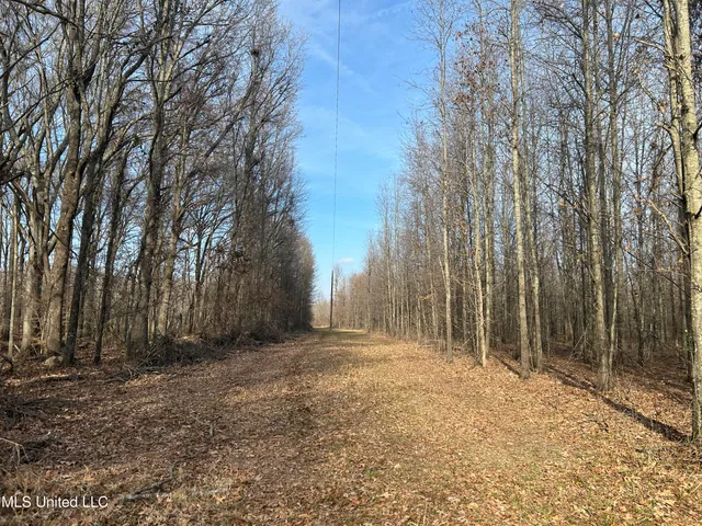 $949,900 | 278 Hwy Marks Ms 38646, Marks, MS 38646