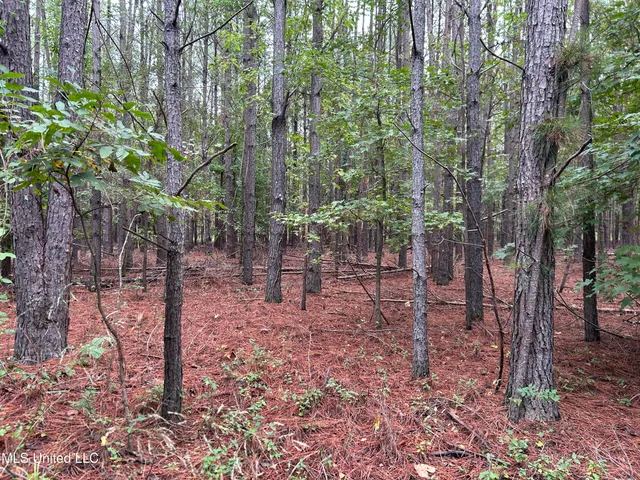 $949,900 | 278 Hwy Marks Ms 38646, Marks, MS 38646