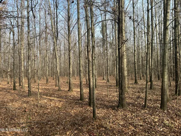 $949,900 | 278 Hwy Marks Ms 38646, Marks, MS 38646