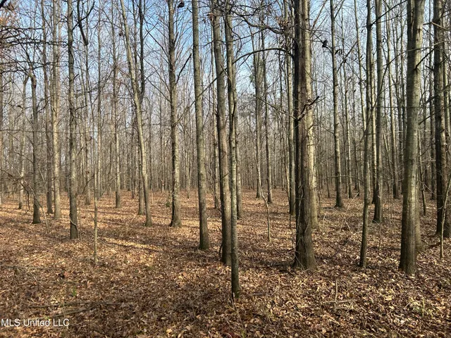 $949,900 | 278 Hwy Marks Ms 38646, Marks, MS 38646