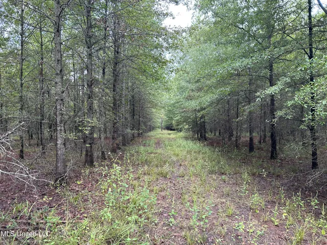 $949,900 | 278 Hwy Marks Ms 38646, Marks, MS 38646