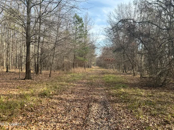 $949,900 | 278 Hwy Marks Ms 38646, Marks, MS 38646
