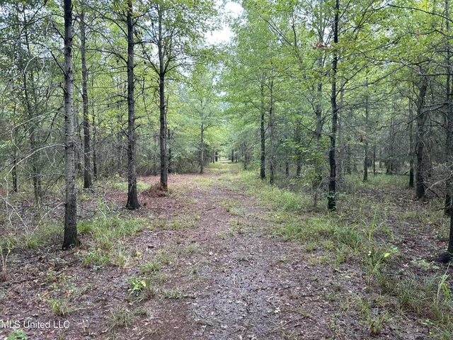 $949,900 | 278 Hwy Marks Ms 38646, Marks, MS 38646