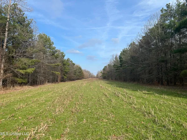 $949,900 | 278 Hwy Marks Ms 38646, Marks, MS 38646