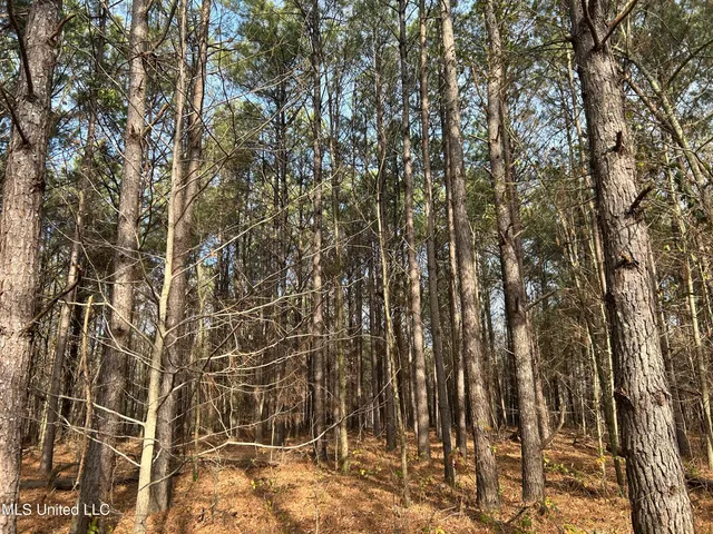 $949,900 | 278 Hwy Marks Ms 38646, Marks, MS 38646