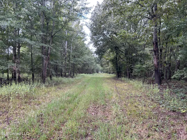 $949,900 | 278 Hwy Marks Ms 38646, Marks, MS 38646