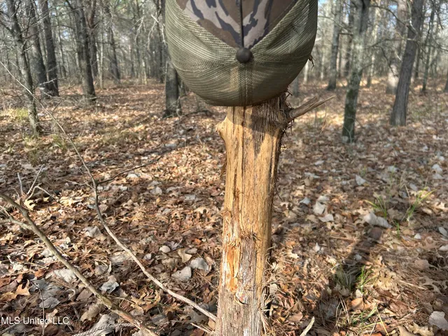 $949,900 | 278 Hwy Marks Ms 38646, Marks, MS 38646